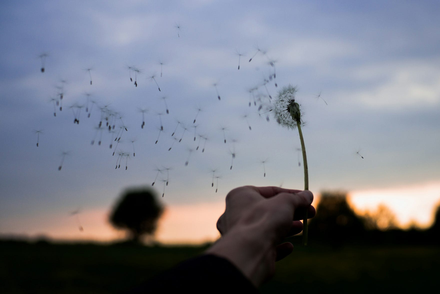 Foundations of Well-Being
